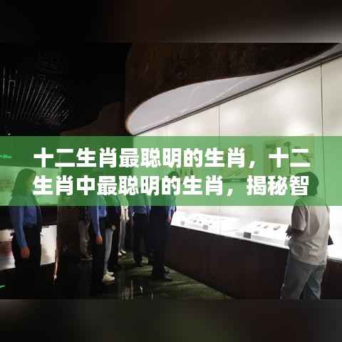 揭秘十二生肖中最聪明的生肖,智慧之兽的神秘面纱