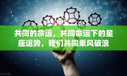 共同命运下的星座运势,乘风破浪的人生旅程