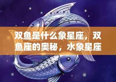 揭秘双鱼座,水象星座的魅力与独特奥秘