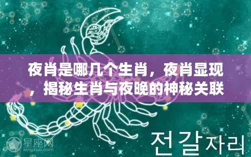 揭秘夜晚生肖,哪些生肖与夜晚有神秘关联?
