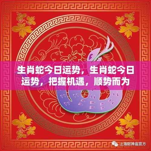 生肖蛇今日运势详解,把握机遇,顺势而为的策略