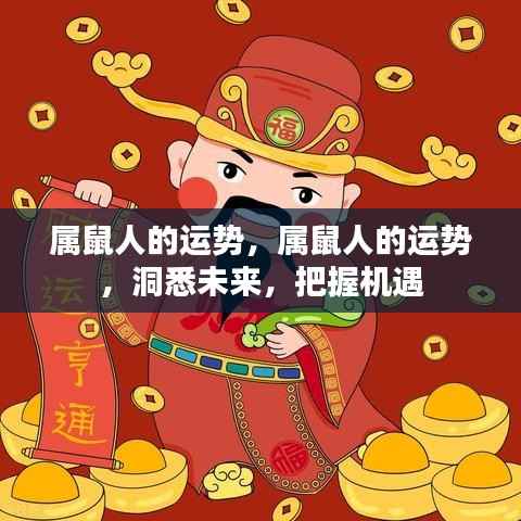 属鼠人的未来运势展望,洞悉机遇,把握命运之路