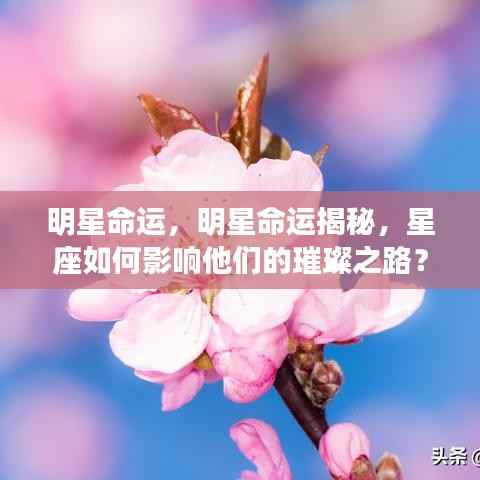 揭秘明星命运,星座如何影响璀璨星途的奥秘?