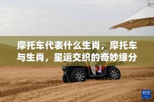 摩托车与生肖,星运交织的奇妙缘分探索