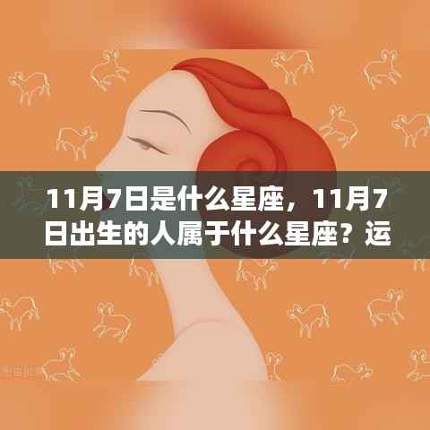 11月7日是什么星座,11月7日出生的人属于什么星座?运势解析与性格揭秘