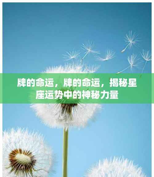 揭秘星座运势的神秘力量,掌握牌的命运之道