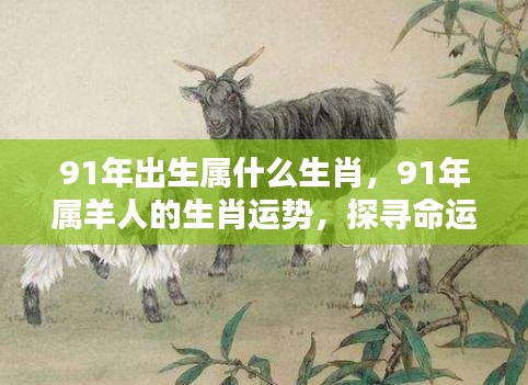 91年出生属什么生肖,91年属羊人的生肖运势,探寻命运之星的光辉轨迹