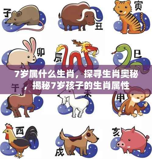 揭秘7岁孩子的生肖属性,探寻生肖奥秘之路