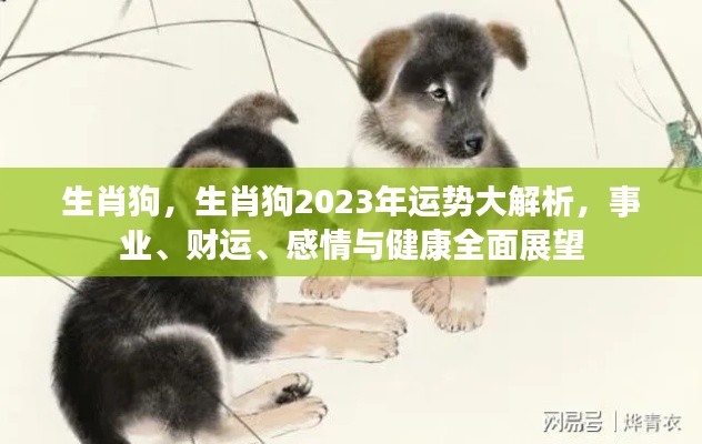 生肖狗2023年运势全面展望,事业、财运、感情与健康大解析