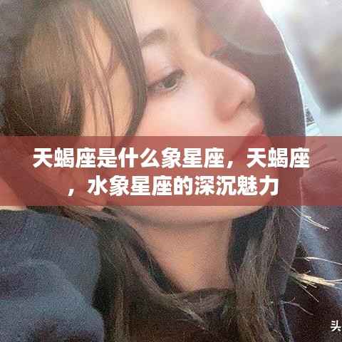 揭秘天蝎座,水象星座的深沉魅力探索
