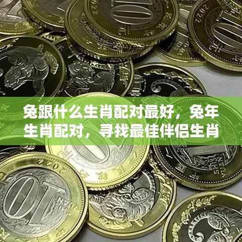 兔年生肖配对解析,寻找最佳伴侣生肖组合