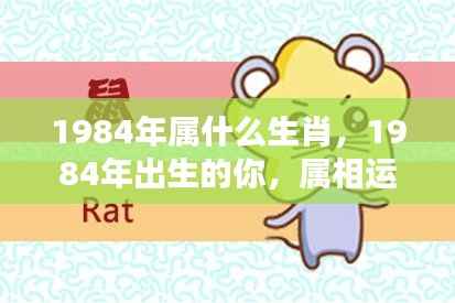 揭秘属鼠人生肖运势,1984年出生者的命运解析