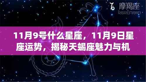 揭秘天蝎座,11月9日的星座运势与魅力机遇解析