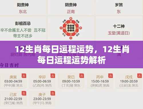 每日运势解析,十二生肖运势详解