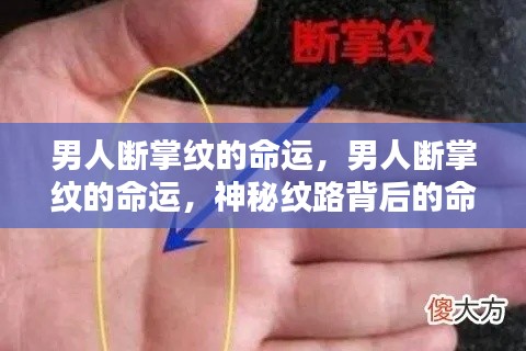 男人断掌纹与命运，神秘纹路的解读与解析