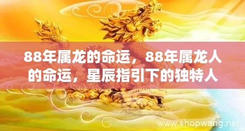 星辰指引下的独特人生轨迹,揭秘属龙人(1988年出生)的命运解析