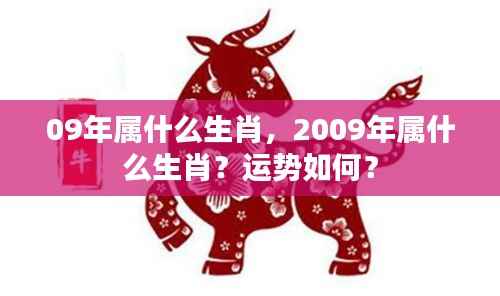 2009年属相运势解析,生肖运势大揭秘