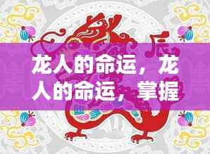 龙人命运掌控,成就辉煌人生的关键之道