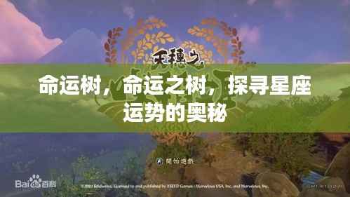 命运树,探寻星座运势奥秘的旅程