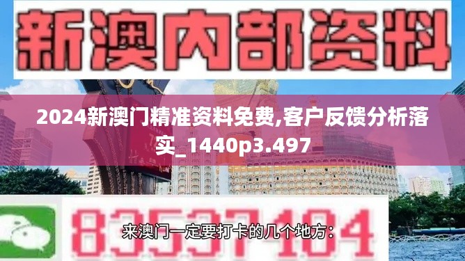 2024新澳门精准资料免费,客户反馈分析落实_1440p3.497