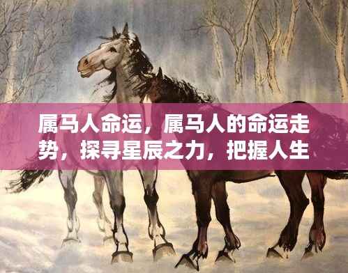 属马人的命运走势,探寻星辰之力,把握人生轨迹