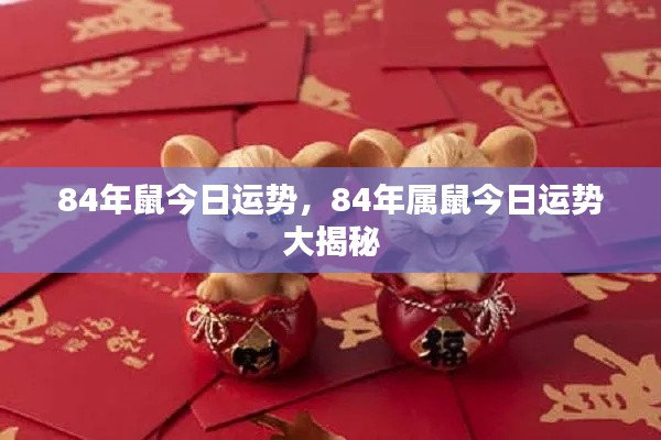 84年属鼠今日运势揭秘,全面解析你的运势大解密