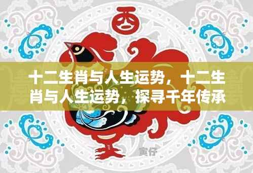 十二生肖与人生运势,探寻千年传承中的奥秘与关联