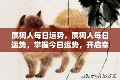 属狗人今日运势详解,开启幸运之门,掌握每日运势变化