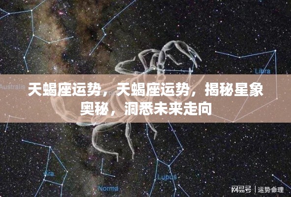 揭秘天蝎座未来星象运势,洞悉星象奥秘,展望走向成功之路
