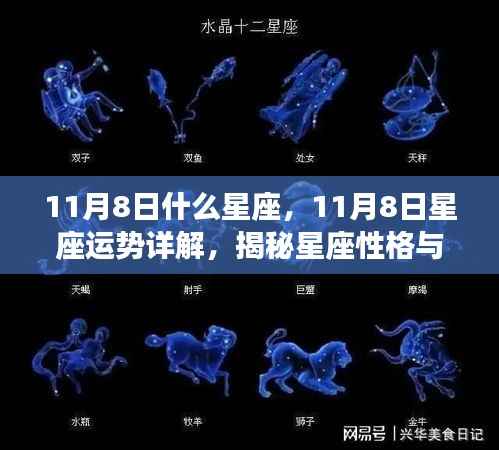揭秘11月8日星座性格与运势,星座运势详解及未来走向预测