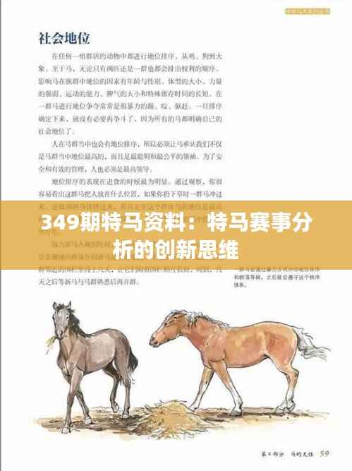 349期特马资料:特马赛事分析的创新思维