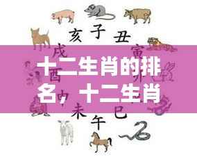 十二生肖排名背后的神秘力量与运势深度解读
