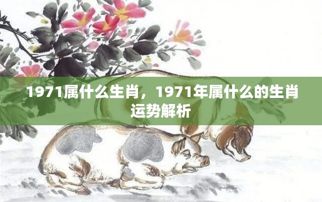 1971年属猪人的生肖运势解析及生肖特点探究