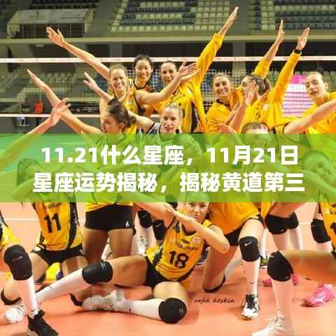 揭秘黄道第三宫的真实力量,11月21日星座运势与星座性格解读