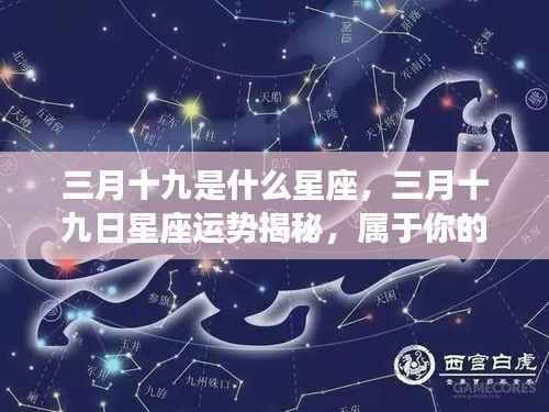 三月十九日星座运势揭秘,星辰轨迹下的独特运势