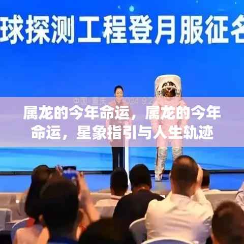 属龙人的命运揭秘，星象指引下的今年人生轨迹