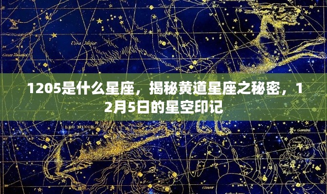 揭秘黄道星座之谜,星空印记下的12月5日与星座解析