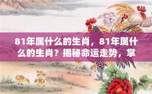 揭秘命运走势与生肖运势,1981年属鸡人的命运与人生航向掌握