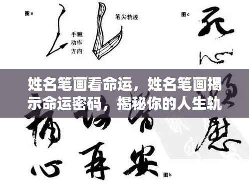 姓名笔画揭示命运之谜,探寻人生轨迹的密码