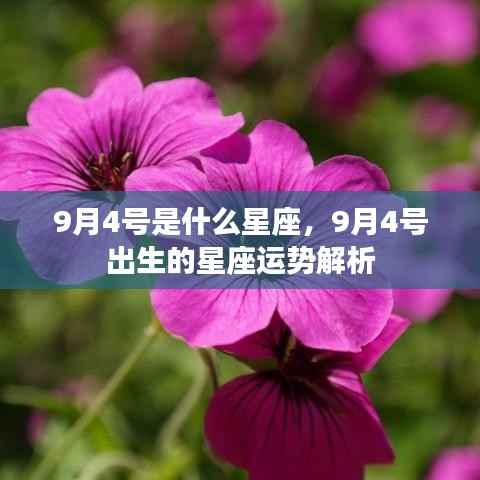 9月4号星座运势揭秘,天赋异禀的出生日运势解析