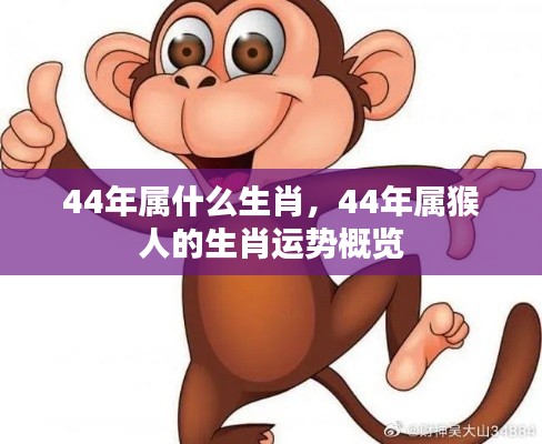 44年属猴人的生肖运势概览及特点解析