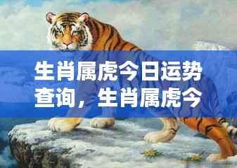 生肖属虎今日运势查询及解析