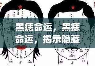 皮肤下的秘密,黑痣命运揭示生命密码探寻之旅
