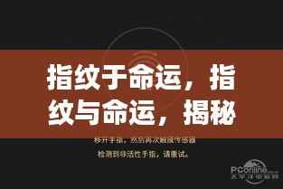 揭秘指纹与命运之间的独特联系,星相密码中的秘密解读