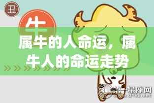 属牛人的稳健前行与命运走势,收获与成长并存。