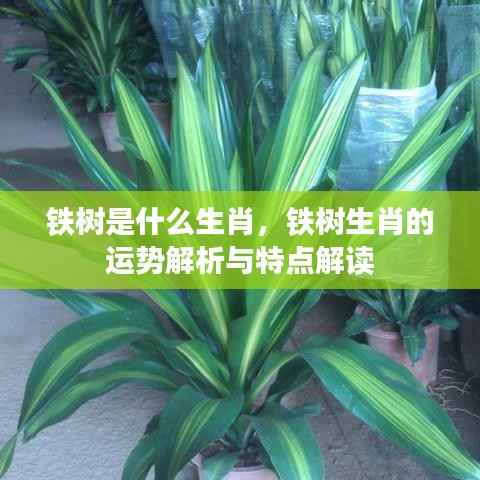 雅人清致 第5页