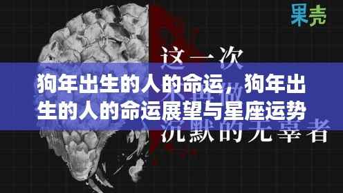狗年出生人士的运势展望与星座解读,命运的轨迹与星座的影响分析