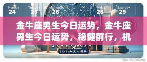 金牛座男生今日运势,稳健前行,机遇挑战并存