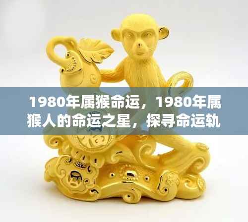 揭秘1980年属猴人的命运轨迹与人生起伏