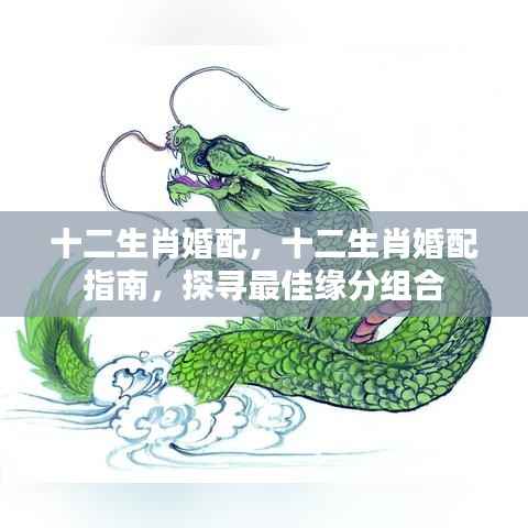 十二生肖婚配指南,探寻最佳缘分组合
